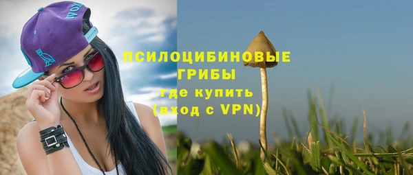 винт Абаза