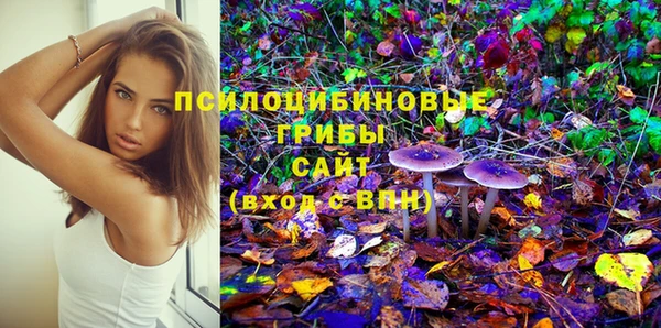 ECSTASY Абинск