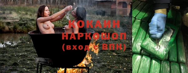 винт Абаза