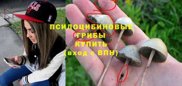 ECSTASY Абинск