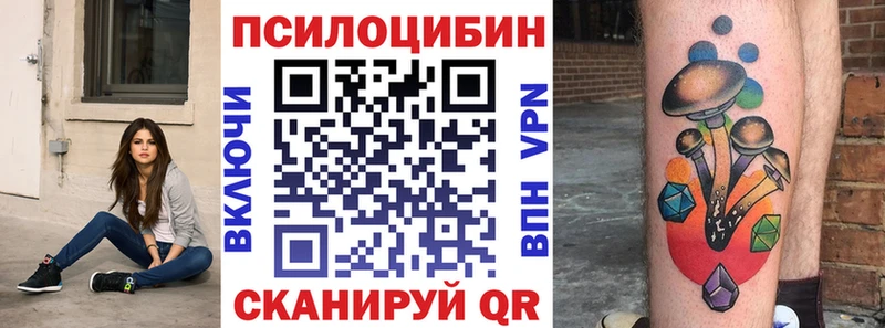 Псилоцибиновые грибы Psilocybe  Южа 
