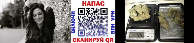 МАРИХУАНА конопля  наркотики  Южа 